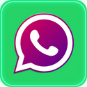WhatsApp Plus APK MOD Logo